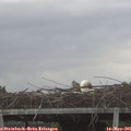 06_15-mast.jpg