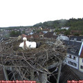 06_20-nest.jpg