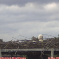 06_25-mast.jpg