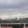 06_30-mast.jpg