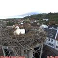 06_30-nest.jpg