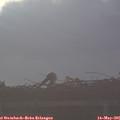 06_45-mast.jpg