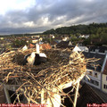 06_45-nest.jpg