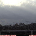 06_50-mast.jpg