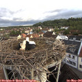 06_55-nest.jpg