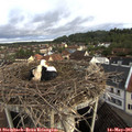 07_00-nest.jpg