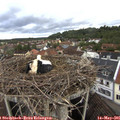 07_05-nest.jpg