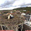 07_10-nest.jpg