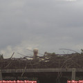 07_25-mast.jpg