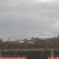 07_30-mast.jpg