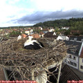 07_40-nest.jpg