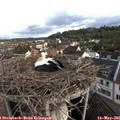 07_45-nest.jpg