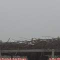 08_15-mast.jpg
