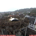08_15-nest.jpg