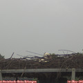 08_30-mast.jpg