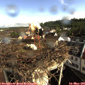 08_55-nest.jpg