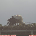 09_00-mast.jpg