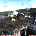 09_00-nest.jpg