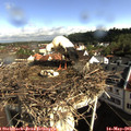09_10-nest.jpg