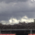 09_55-mast.jpg