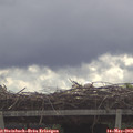 10_05-mast.jpg