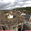 10_10-nest.jpg