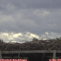 10_15-mast.jpg