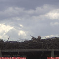 11_10-mast.jpg