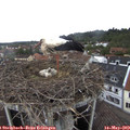 11_15-nest.jpg