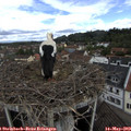 11_35-nest.jpg