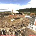 12_45-nest.jpg