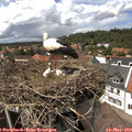 14_15-nest.jpg
