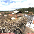 14_25-nest.jpg