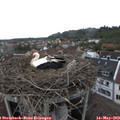 15_10-nest.jpg