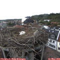 16_55-nest.jpg