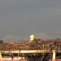 20_15-mast.jpg