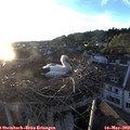 20_15-nest.jpg