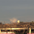 20_20-mast.jpg