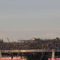 20_30-mast.jpg