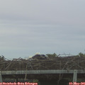 05_40-mast.jpg