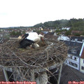 05_40-nest.jpg