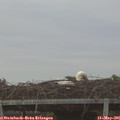 05_45-mast.jpg