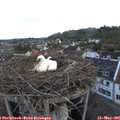 05_45-nest.jpg