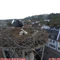 05_55-nest.jpg