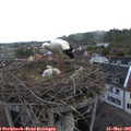 06_00-nest.jpg