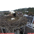 06_25-nest.jpg
