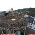 06_30-nest.jpg