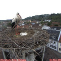 06_40-nest.jpg
