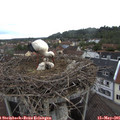 07_10-nest.jpg