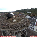 07_25-nest.jpg